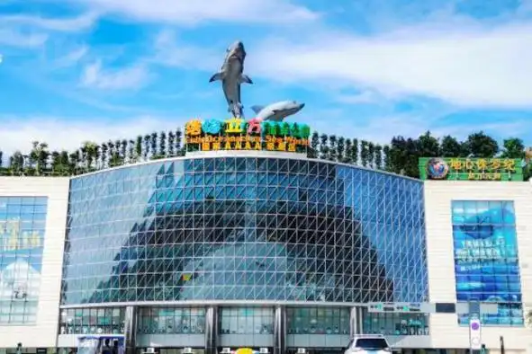 成都海洋馆门票(成都双流浩海立方海洋馆游玩攻略)