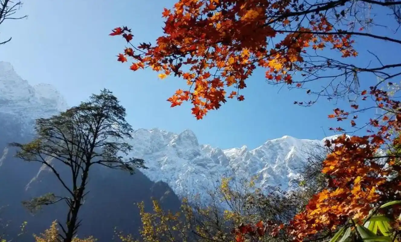 贡嘎山东坡的燕子沟景区(红石配雪凇的冬季燕子沟好有看头)