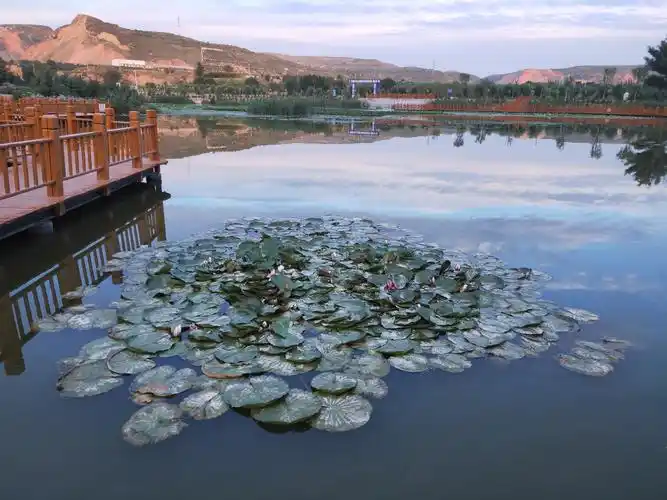 固原旅游(固原旅游攻略最佳方案)